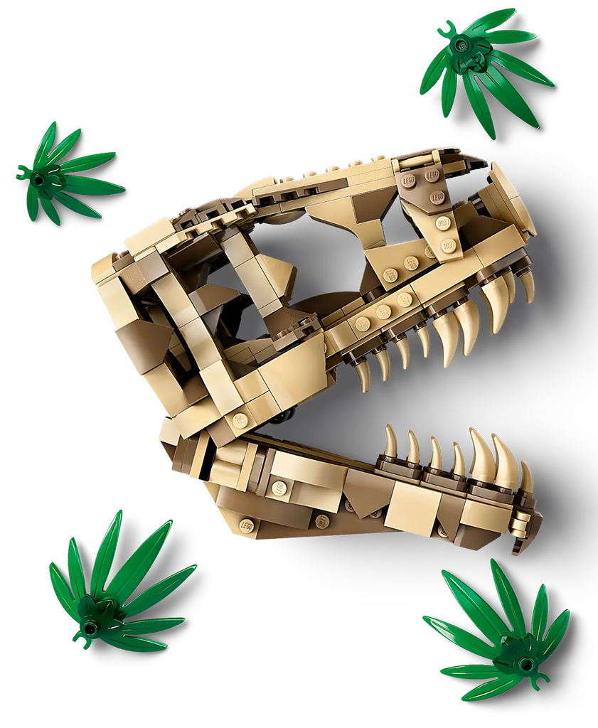 T rex skeleton lego hotsell
