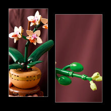 LEGO® Botanicals Mini Orchid Plant Gift, Home Decor Building Kit for Adults 10343