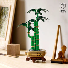 LEGO® Botanicals Lucky Bamboo Indoor Plant Decor, Gift for Women, Men and Nature Lovers 10344