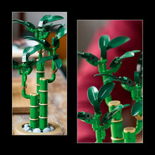 LEGO® Botanicals Lucky Bamboo Indoor Plant Decor, Gift for Women, Men and Nature Lovers 10344