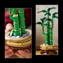 LEGO® Botanicals Lucky Bamboo Indoor Plant Decor, Gift for Women, Men and Nature Lovers 10344