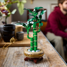 LEGO® Botanicals Lucky Bamboo Indoor Plant Decor, Gift for Women, Men and Nature Lovers 10344