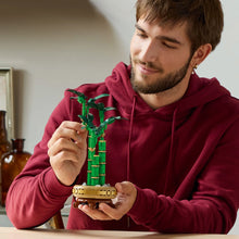 LEGO® Botanicals Lucky Bamboo Indoor Plant Decor, Gift for Women, Men and Nature Lovers 10344