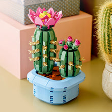 LEGO® Botanicals Flowering Cactus - Plants Decor - Building Set for Kids Ages 9 and Up - 11509