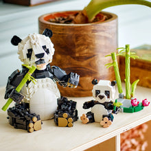 LEGO® Creator 3in1 Wild Animals: Panda Family, Playset Transforms into an Orca or Penguin Set 31165